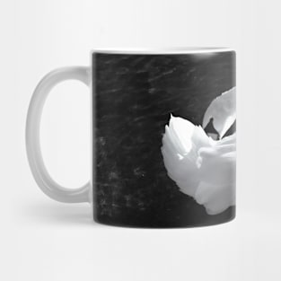 Mute Swan Mug